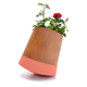 Illustration for article titled This Topsy Turvy Flower Pot Can Rotate Around to Follow the Sun